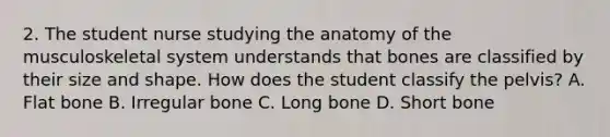 2. The student nurse studying the anatomy of the musculoskeletal system understands that bones are classified by their size and shape. How does the student classify the pelvis? A. Flat bone B. Irregular bone C. Long bone D. Short bone