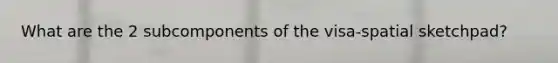 What are the 2 subcomponents of the visa-spatial sketchpad?