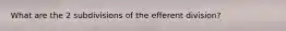 What are the 2 subdivisions of the efferent division?