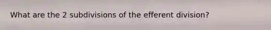 What are the 2 subdivisions of the efferent division?