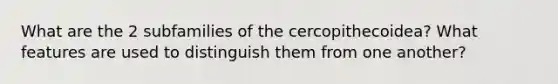 What are the 2 subfamilies of the cercopithecoidea? What features are used to distinguish them from one another?