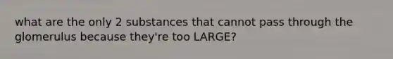 what are the only 2 substances that cannot pass through the glomerulus because they're too LARGE?