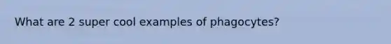 What are 2 super cool examples of phagocytes?