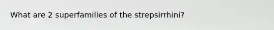 What are 2 superfamilies of the strepsirrhini?