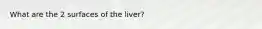 What are the 2 surfaces of the liver?