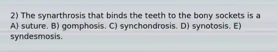 2) The synarthrosis that binds the teeth to the bony sockets is a A) suture. B) gomphosis. C) synchondrosis. D) synotosis. E) syndesmosis.