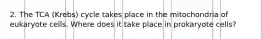 2. The TCA (Krebs) cycle takes place in the mitochondria of eukaryote cells. Where does it take place in prokaryote cells?