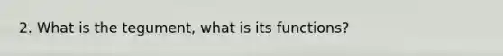 2. What is the tegument, what is its functions?