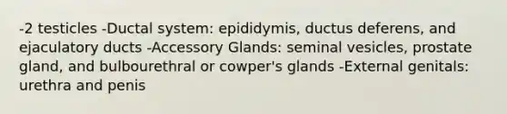 -2 testicles -Ductal system: epididymis, ductus deferens, and ejaculatory ducts -Accessory Glands: seminal vesicles, prostate gland, and bulbourethral or cowper's glands -External genitals: urethra and penis