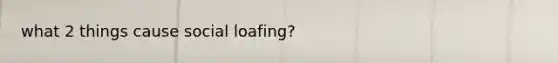 what 2 things cause social loafing?