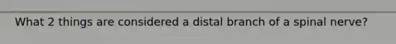 What 2 things are considered a distal branch of a spinal nerve?