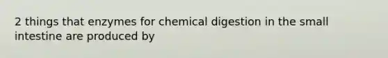 2 things that enzymes for chemical digestion in the small intestine are produced by