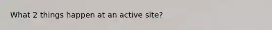 What 2 things happen at an active site?