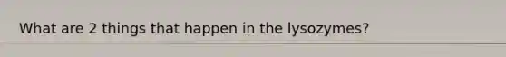 What are 2 things that happen in the lysozymes?