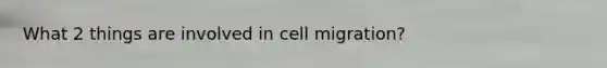 What 2 things are involved in cell migration?