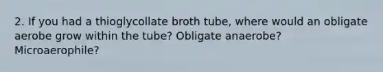 2. If you had a thioglycollate broth tube, where would an obligate aerobe grow within the tube? Obligate anaerobe? Microaerophile?