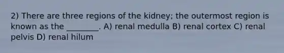 2) There are three regions of the kidney; the outermost region is known as the ________. A) renal medulla B) renal cortex C) renal pelvis D) renal hilum