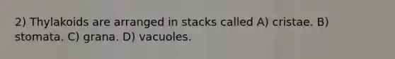 2) Thylakoids are arranged in stacks called A) cristae. B) stomata. C) grana. D) vacuoles.