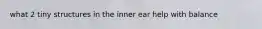 what 2 tiny structures in the inner ear help with balance