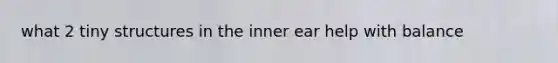 what 2 tiny structures in the inner ear help with balance