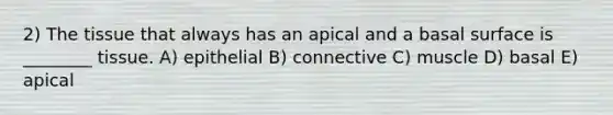 2) The tissue that always has an apical and a basal surface is ________ tissue. A) epithelial B) connective C) muscle D) basal E) apical