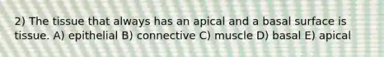 2) The tissue that always has an apical and a basal surface is tissue. A) epithelial B) connective C) muscle D) basal E) apical