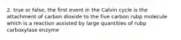 2. true or false, the first event in the Calvin cycle is the attachment of carbon dioxide to the five carbon rubp molecule which is a reaction assisted by large quantities of rubp carboxylase enzyme