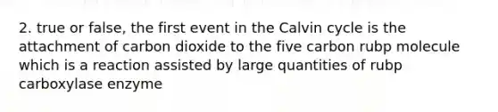 2. true or false, the first event in the Calvin cycle is the attachment of carbon dioxide to the five carbon rubp molecule which is a reaction assisted by large quantities of rubp carboxylase enzyme