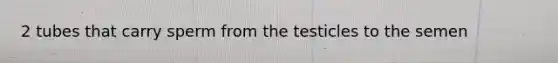 2 tubes that carry sperm from the testicles to the semen