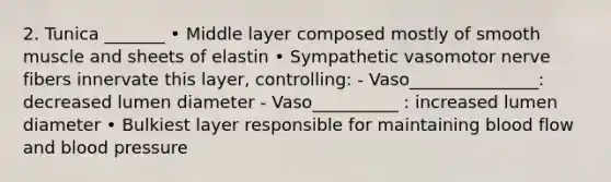 2. Tunica _______ • Middle layer composed mostly of smooth muscle and sheets of elastin • Sympathetic vasomotor nerve fibers innervate this layer, controlling: - Vaso_______________: decreased lumen diameter - Vaso__________ : increased lumen diameter • Bulkiest layer responsible for maintaining blood flow and blood pressure