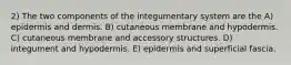 2) The two components of the integumentary system are the A) epidermis and dermis. B) cutaneous membrane and hypodermis. C) cutaneous membrane and accessory structures. D) integument and hypodermis. E) epidermis and superficial fascia.