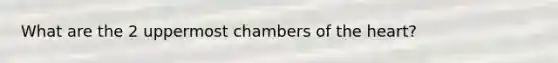 What are the 2 uppermost chambers of the heart?