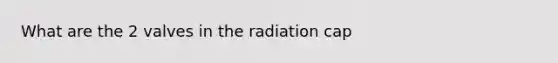 What are the 2 valves in the radiation cap