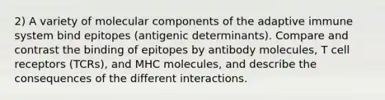 2) A variety of molecular components of the adaptive immune system bind epitopes (antigenic determinants). Compare and contrast the binding of epitopes by antibody molecules, T cell receptors (TCRs), and MHC molecules, and describe the consequences of the different interactions.