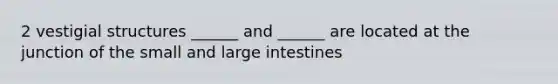 2 vestigial structures ______ and ______ are located at the junction of the small and large intestines