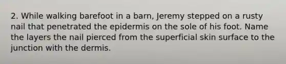 2. While walking barefoot in a barn, Jeremy stepped on a rusty nail that penetrated the epidermis on the sole of his foot. Name the layers the nail pierced from the superficial skin surface to the junction with the dermis.