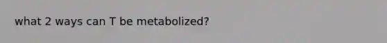 what 2 ways can T be metabolized?