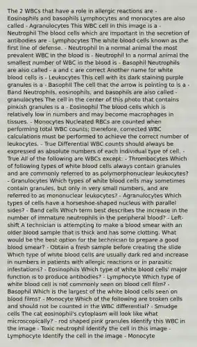 The 2 WBCs that have a role in allergic reactions are - Eosinophils and basophils Lymphocytes and monocytes are also called - Agranulocytes This WBC cell in this image is a - Neutrophil The blood cells which are important in the secretion of antibodies are - Lymphocytes The white blood cells known as the first line of defense. - Neutrophil In a normal animal the most prevalent WBC in the blood is - Neutrophil In a normal animal the smallest number of WBC in the blood is - Basophil Neutrophils are also called - a and c are correct Another name for white blood cells is - Leukocytes This cell with its dark staining purple granules is a - Basophil The cell that the arrow is pointing to is a - Band Neutrophils, eosinophils, and basophils are also called - granulocytes The cell in the center of this photo that contains pinkish granules is a - Eosinophil The blood cells which is relatively low in numbers and may become macrophages in tissues. - Monocytes Nucleated RBCs are counted when performing total WBC counts; therefore, corrected WBC calculations must be performed to achieve the correct number of leukocytes. - True Differential WBC counts should always be expressed as absolute numbers of each individual type of cell. - True All of the following are WBCs except: - Thrombocytes Which of following types of white blood cells always contain granules and are commonly referred to as polymorphonuclear leukocytes? - Granulocytes Which types of white blood cells may sometimes contain granules, but only in very small numbers, and are referred to as mononuclear leukocytes? - Agranulocytes Which types of cells have a horseshoe-shaped nucleus with parallel sides? - Band cells Which term best describes the increase in the number of immature neutrophils in the peripheral blood? - Left-shift A technician is attempting to make a blood smear with an older blood sample that is thick and has some clotting. What would be the best option for the technician to prepare a good blood smear? - Obtain a fresh sample before creating the slide Which type of white blood cells are usually dark red and increase in numbers in patients with allergic reactions or in parasitic infestations? - Eosinophils Which type of white blood cells' major function is to produce antibodies? - Lymphocyte Which type of white blood cell is not commonly seen on blood cell film? - Basophil Which is the largest of the white blood cells seen on blood films? - Monocyte Which of the following are broken cells and should not be counted in the WBC differential? - Smudge cells The cat eosinophil's cytoplasm will look like what microscopically? - rod shaped pink granules Identify this WBC in the image - Toxic neutrophil Identify the cell in this image - Lymphocyte Identify the cell in the image - Monocyte