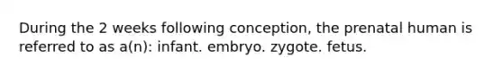 During the 2 weeks following conception, the prenatal human is referred to as a(n): infant. embryo. zygote. fetus.