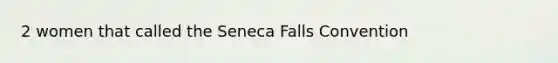 2 women that called the Seneca Falls Convention