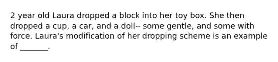 2 year old Laura dropped a block into her toy box. She then dropped a cup, a car, and a doll-- some gentle, and some with force. Laura's modification of her dropping scheme is an example of _______.