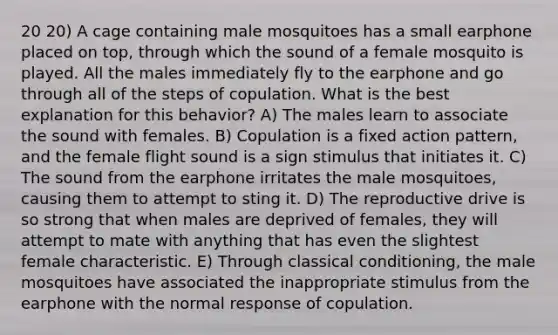 20 20) A cage containing male mosquitoes has a small earphone placed on top, through which the sound of a female mosquito is played. All the males immediately fly to the earphone and go through all of the steps of copulation. What is the best explanation for this behavior? A) The males learn to associate the sound with females. B) Copulation is a fixed action pattern, and the female flight sound is a sign stimulus that initiates it. C) The sound from the earphone irritates the male mosquitoes, causing them to attempt to sting it. D) The reproductive drive is so strong that when males are deprived of females, they will attempt to mate with anything that has even the slightest female characteristic. E) Through <a href='https://www.questionai.com/knowledge/kI6awfNO2B-classical-conditioning' class='anchor-knowledge'>classical conditioning</a>, the male mosquitoes have associated the inappropriate stimulus from the earphone with the normal response of copulation.