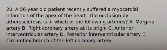 20. A 56-year-old patient recently suffered a myocardial infarction of the apex of the heart. The occlusion by atherosclerosis is in which of the following arteries? A. Marginal artery B. Right coronary artery at its origin C. Anterior interventricular artery D. Posterior interventricular artery E. Circumflex branch of the left coronary artery