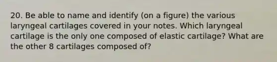 20. Be able to name and identify (on a figure) the various laryngeal cartilages covered in your notes. Which laryngeal cartilage is the only one composed of elastic cartilage? What are the other 8 cartilages composed of?