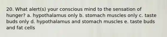 20. What alert(s) your conscious mind to the sensation of hunger? a. hypothalamus only b. stomach muscles only c. taste buds only d. hypothalamus and stomach muscles e. taste buds and fat cells