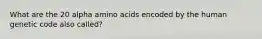 What are the 20 alpha amino acids encoded by the human genetic code also called?