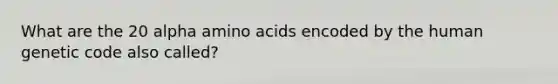 What are the 20 alpha amino acids encoded by the human genetic code also called?