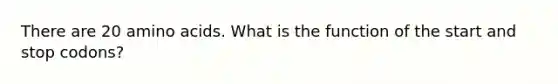 There are 20 amino acids. What is the function of the start and stop codons?