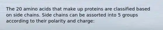 The 20 amino acids that make up proteins are classified based on side chains. Side chains can be assorted into 5 groups according to their polarity and charge: