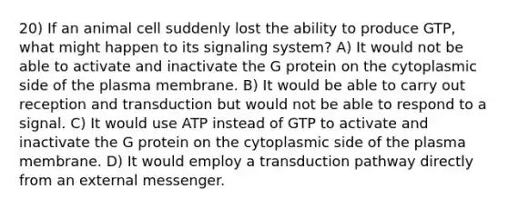 20) If an animal cell suddenly lost the ability to produce GTP, what might happen to its signaling system? A) It would not be able to activate and inactivate the G protein on the cytoplasmic side of the plasma membrane. B) It would be able to carry out reception and transduction but would not be able to respond to a signal. C) It would use ATP instead of GTP to activate and inactivate the G protein on the cytoplasmic side of the plasma membrane. D) It would employ a transduction pathway directly from an external messenger.